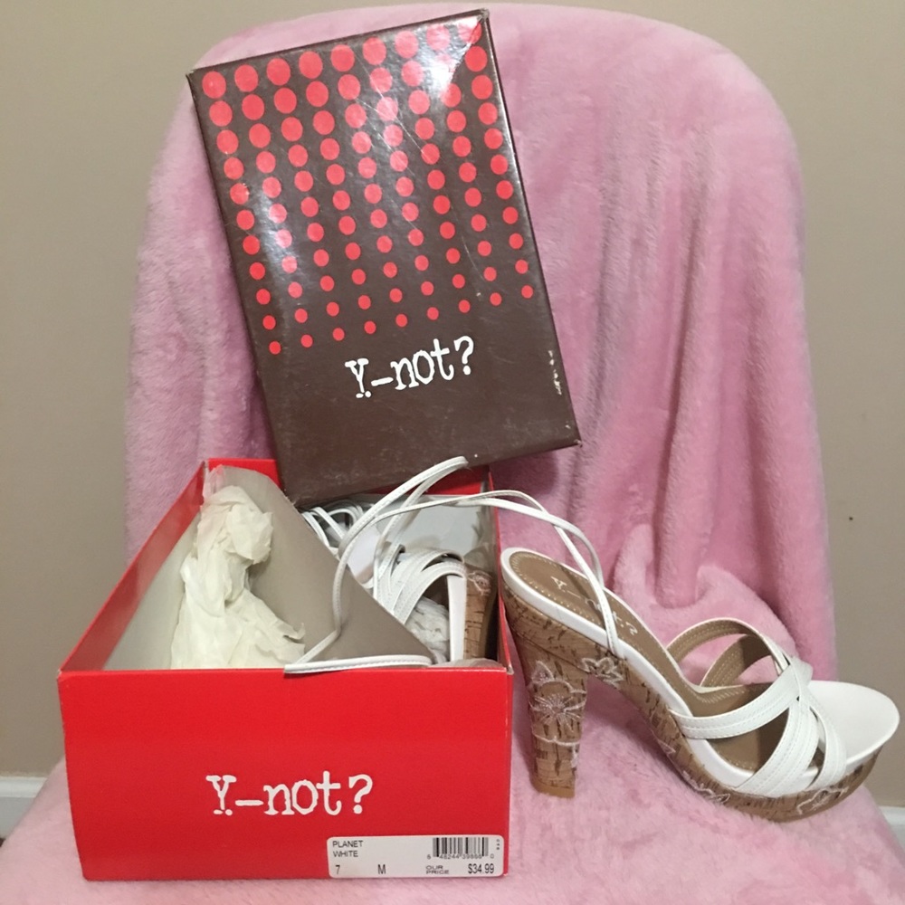 Y-NOT? HEELS!👠